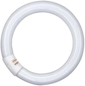 Osram AA408170155-circulaire Tube Fluorescent/l32 865-32w