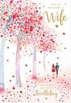 Nigel Quiney 'Wonderful Wife' Large Birthday Card - Cherry Blossom Walk Embossed with Foil - Eco-Friendly & Recyclable