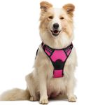 rabbitgoo Dog Harness, No-Pull Pet Harness with 2 Leash Clips, Adjustable Soft Padded Vest, Reflective No-Choke Pet Oxford Vest with Easy Control Handle for Medium Dogs,Hot Pink, M