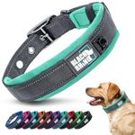 Black Rhino The Comfort Dog Collar, Large - Ultra Soft Neoprene Padded Dog Collar for All Breeds - Heavy Duty Adjustable Reflective Weatherproof, Small to Extra Large - Black