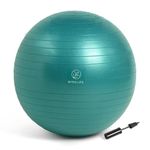 Wiselife Exercise Ball,Physical Therapy Yoga Ball for Home,Gym Ball for Stability,Workout Fitness, Anti-Burst, Slip Resistant Balance Ball Chair for Office, Swiss Ball with Air Pump (Torquoise, 55cm)