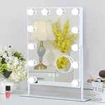 FENCHILIN Lighted Makeup Mirror Hol