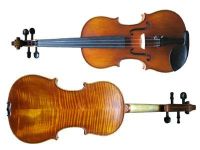 Eastman Cellos