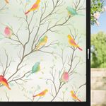 WOO Home Frosted Glass Window Film & Stickers (12 X 24 Inchs) Privacy Window Cover for Home & Office - Easy Apply, UV Protection, Removable Decorative Film (Multi Colour Bird 1 X 2 SQFT)