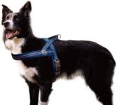 DOCO No-Pull Dog Harness Halter - Reflective, Easy-Control Harness - Ideal for Teaching Leash Manners and Preventing Pulling