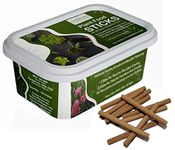 Feromones Fertilizer Sticks For Plants - 100 Sticks Fertilizer - All Purpose Plant Fertilizer For Pot Plants, Green
