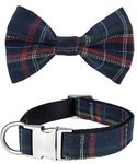 Dashin' Dogz Plaid Bowtie Dog Collar with Removeable Bow, Scottish Tartan Dog Collar with Bow, (Medium, Blue)