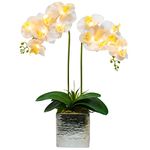 Homeseasons LED Pre-Lit Faux Orchid Plant (White)