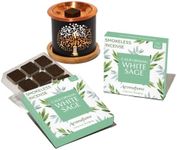 California White Sage Incense Bricks & Tree of Life Exotic Burner by Aromafume | 2x9 Bricks | Sage Incense for Cleansing Negative Energy & Protection | Sage for Smokeless Smudging, Spiritual Cleansing