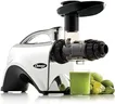 Omega Juicer Premium Vegetable and Fruit Juice Extractor and Nutrition System Makes Nut Milks Baby Food and Sorbets, Adjustable Pressure Settings 80-RPM Slow Masticating Juicer, 150-Watts, Silver