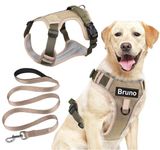 Kraftidy Dog Harness with Name id Customized for Dogs Large Medium Small Puppy All Breeds No Pull Harness Reflective Vest Harness Belt Adjustable Personalized with Dog Name (Beige) (Large Dogs)