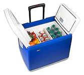 Wagan EL6244 Blue 46 Quart 12V Thermoelectric Cooler/Warmer Car Fridge