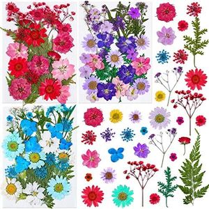 Thrilez 100Pcs Dried Pressed Flowers for Resin Crafts, Small Dried Flower Natural Herbs Pressed for Scrapbooking Greeting Card DIY Bookmark Resin Epoxy Accessories Nails Decor Soap and Candle Making