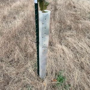 36" Miracle Tree Tube (5)