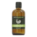 Eucalyptus Radiata 100% Essential Aromatherapy Oil 100ml