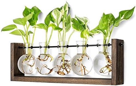 Mkono Plant Terrarium with Wooden Stand, Wall Hanging Glass Planter Desktop Plant Propagation Vase with Metal Swivel Retro Rack for Hydroponics Plants Home Office Decor (5 Bulb Vase)