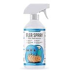 Buddy's Best Flea Spray for The Home | for The Control of Fleas, Dust Mites & Bed Bugs | for Use on Carpets, Pet Beds & Home Furniture | 100% Natural Formula | Pet & Family Friendly