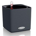 Lechuza 13384 Cube Color 14 Self-Watering Garden Planter, Slate