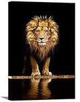 Lion Animal Canvas Print Wall Art H