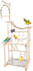 Chuiendi Bird Playground, Parrot Play Stand, Natural Wood Perch Stand Play Gym for Parakeet Conure Cockatiel Lovebird Budgie with Feeder Cups, Swings, Ladder and Detachable Tray