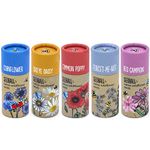 SEEDBALL Wildflower Seeds - 5X Seed Tubes with 20 Wild Flower Seed Balls Per Tube | Bee Friendly British Wildflower Seed Bombs for Bees | Poppy, Cornflower, Oxeye Daisy, Red Campion and Forget-Me-Not