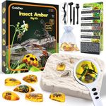 GobiDex Amber Dig Kit-Artificial Insect Resin, Excavate 6 Insects Specimens, STEM Geographic Educational Bugs Toys, Excavation Toys for Fun Bugs Party Favors, Science Kits for Kids Age 6-8 8-12