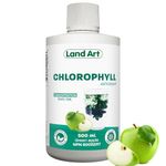 Liquid Chlorophyll Apple 500ml – Cold Extracted from Non-GMO Alfalfa - Detox - Alkaline - Natural Body Deodorant – Antioxidant - Made in Canada