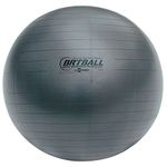 Champion Sports Exercise Balls