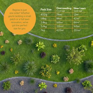 Pronto Seed Grass Seed 400g – Fast Growing Lawn Repair