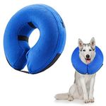 E Collar For Dogs