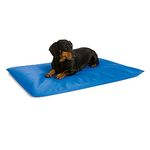 K&H Manufacturing Cool Bed III Cooling Dog Bed, Small, 17-Inch by 24-Inch, Blue