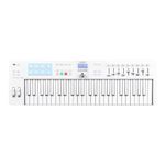 Arturia KeyLab Essential 49 mk3 MIDI Controller with 49 Velocity-Sensitive keys, 9 Encoders, 9 Sliders, 8 RGB Pads - USB-C, Midi Out, LCD Screen, Bundled Software and DAW Integration - Alpine White