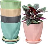 Garden Pots