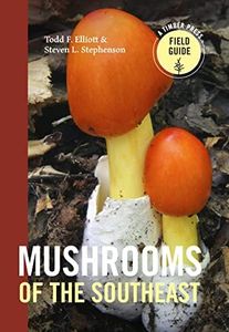 Mushrooms 