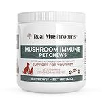 Mushroom Immune Support Pet Chews (