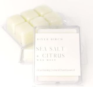 River Birch Candles Sea Salt + Citrus 3-Pack Soy Wax Melts | Premium, All-Natural, Non-Toxic, Soy Candles | 7.5 oz. Total | Cozy Relaxing Gifts for Home | Made in USA