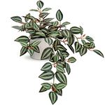 Artificial Plants in Ceramic Pots Realistic Fake Trailing Plants String of Plants Fake Potted Plants Tradescantia Zebrina for Indoor Outdoor Home Office Bathroom Kitchen Desk Decoration