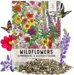 Seed Needs, Package of 15,000+ Hummingbird and Butterfly Garden Wildflower Seed Mixture for Planting (99% Pure Live Seed- NO Filler) 20+ Varieties, Annual Perennial - Bulk