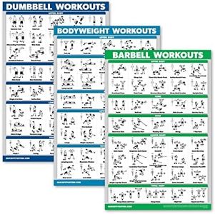 Palace Learning QuickFit 3 Pack - Dumbbell Workouts + Bodyweight Exercises + Barbell Routine Poster Set - Set of 3 Workout Charts (Laminated, 18" x 27")