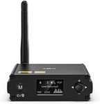 1Mii DS220 Hi-Res Bluetooth 5.1 Rec