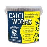 Walter Products Calci Worms 5L Tub - Bird Food for Wild Birds, Rodents and Amphibians - Packaged in a Reusable Bucket