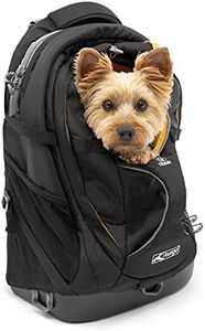 Kurgo G-Train - Dog Carrier Backpack for Small Pets - Cat & Dog Backpack for Hiking, Camping or Travel - Chest Straps & Hip Belt - Reflective - Two Water Bottle Sleeves - Waterproof Bottom (Black)