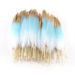 Sowder 50pcs Colorful Gold Goose Feathers 4-6inch(10-15cm) for Art Craft Party Decoration Clothing Accessories Duck Feather(Blue&Gold)