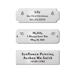 3" W x 1" H, Personalized, Custom Laser Engraved, Brushed Stainless Steel Plate Picture Frame Name Label Art Tag for Frames, with Adhesive Backing or Screws