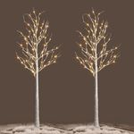 NOWSTO Lighted Birch Tree, 2 Pack 6