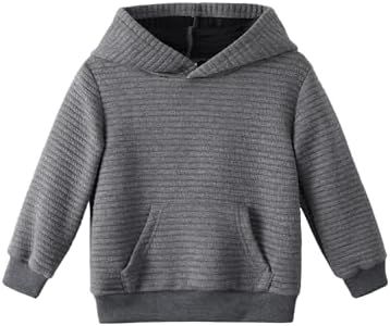 PATPAT Unisex Toddler Hoodies Boy's Hooded Sweatshirt with Pocket Solid Color Pullover Hoodies for Toddler Boy 18-24 Months Grey