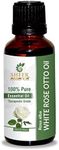 White Rose Otto Oil (Rosa Alba) Essential Oil 100% Pure Natural Undiluted Uncut Therapeutic Grade Oil 0.51 Fl.OZ