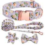 Hilkycton Dog Collar and Leash Set with Flower Bow Tie Girls Dog Collar Dog Tag Metal Buckle Adjustable for Small Medium Large Dogs (XS, Purple Flower)