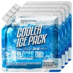 Everlasting Ice RX Reusable Ice Packs for Cooler (4 Pack) Up to 48 Hours Freezer Packs for Coolers and Lunch Boxes | 10 x 10 in | Cooler Ice Packs for Camping, Fishing, Beach, Road Trips