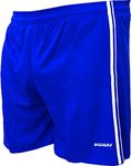 Vizari Campo Soccer Shorts, Royal, Youth Medium